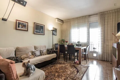 Stanza in affitto, Barcelona