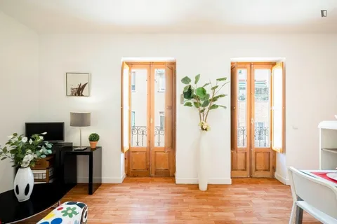 Pis de 40 m² a Madrid