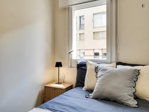 Habitació de lloguer, Barcelona (3/45)