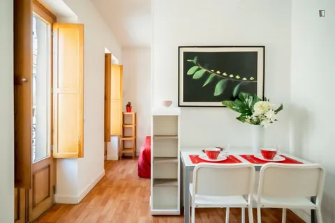 Appartamento 40 m² a Madrid