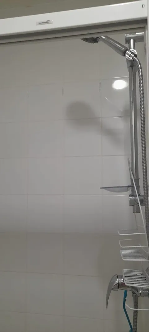 Habitació de lloguer, Sevilla