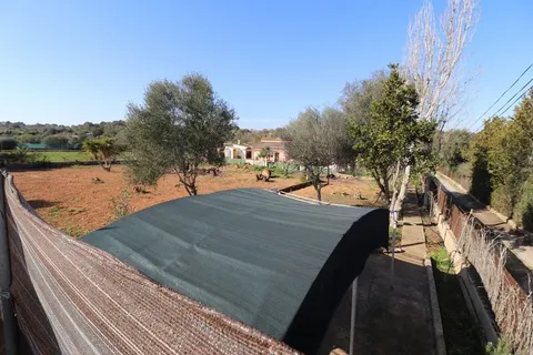 Habitació de lloguer, Algaida