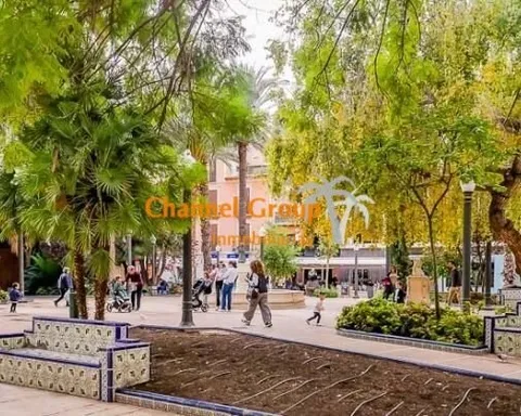 Wohnung 250 m² in Elx / Elche