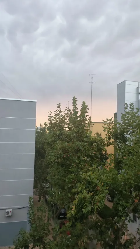 Habitació de lloguer, Madrid (4/15)