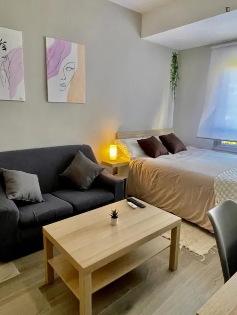 Habitació de lloguer, Alacant