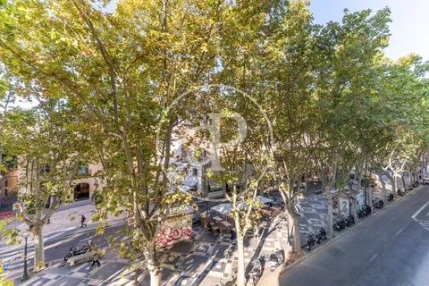 Pis de 166 m² a Palma