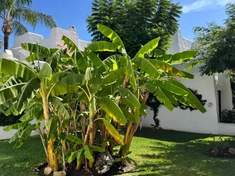 Pis de 23 m² a Estepona