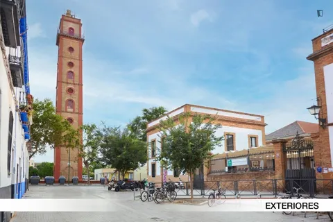 Habitació de lloguer, Sevilla