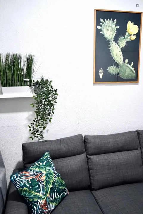Habitació de lloguer, Madrid