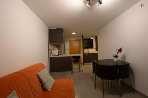 Pis de 43 m² a Barcelona