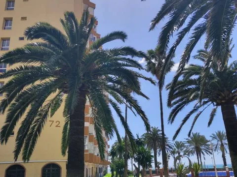 Pis de 45 m² a Algarrobo