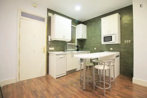 Appartamento 31 m² a Madrid