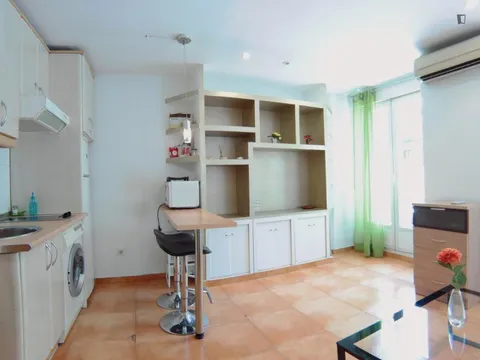 Pis de 27 m² a Madrid