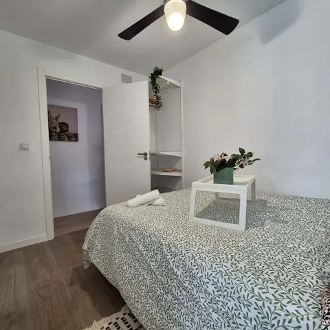 Stanza in affitto, Valencia