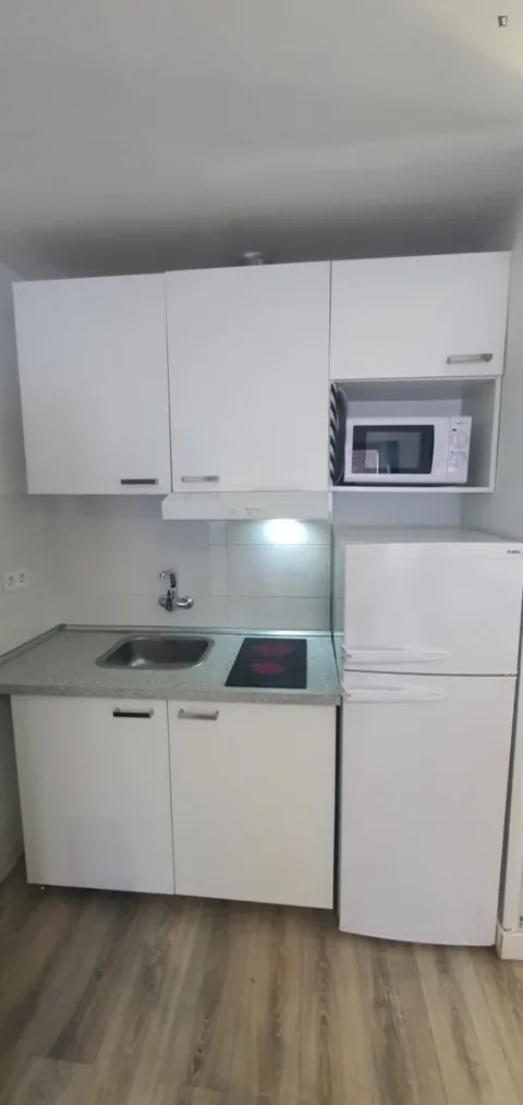 Appartamento 21 m² a Madrid