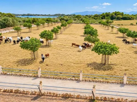Haus 69 m² in Santa Margalida