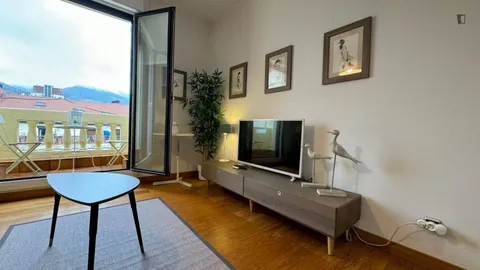 Habitació de lloguer, Bilbao