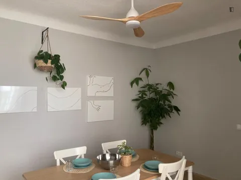 Habitació de lloguer, Alacant