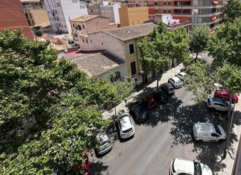 Stanza in affitto, Palma