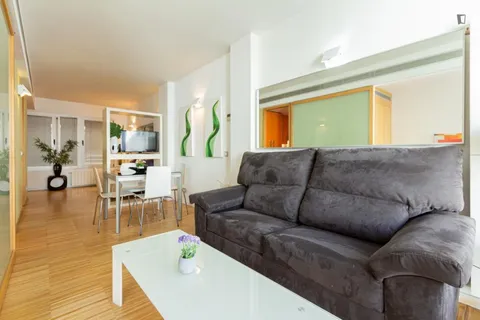 Pis de 39 m² a Madrid