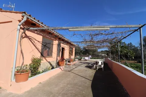 Habitació de lloguer, Algaida