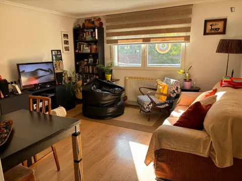 Habitació de lloguer, Madrid