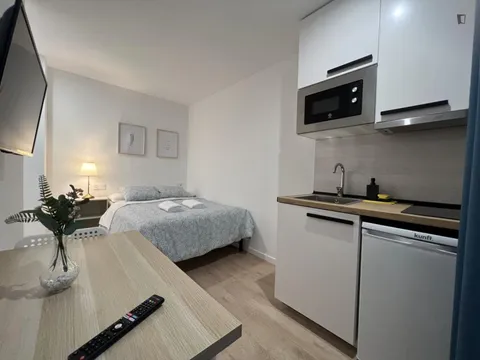 Appartamento 25 m² a Madrid