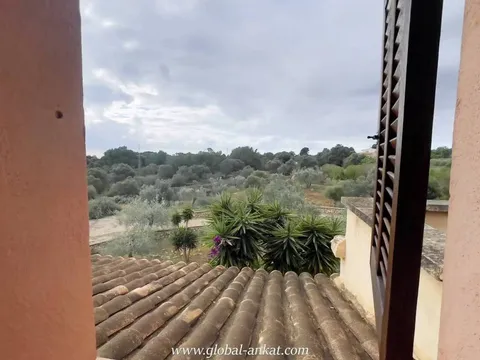 Appartement 238 m² à Felanitx