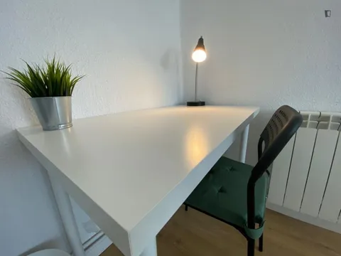 Habitación en alquiler, Madrid (4/21)