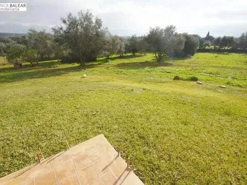 Pis de 300 m² a Costitx