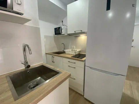 Habitació de lloguer, Madrid