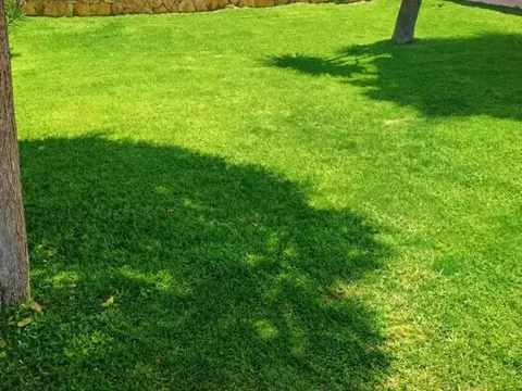 Casa de 45 m² a Padul