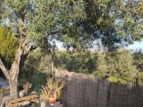 Casa de 160 m² en Chelva