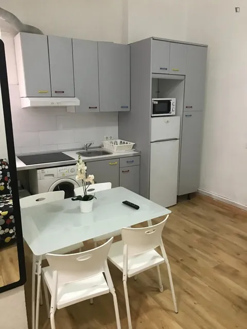 Pis de 21 m² a Madrid