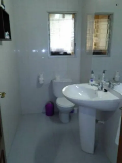 Habitació de lloguer, Alacant