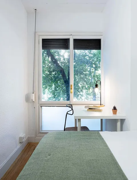 Habitació de lloguer, Madrid (3/15)