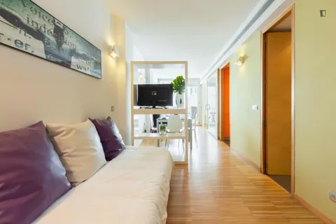 Pis de 39 m² a Madrid