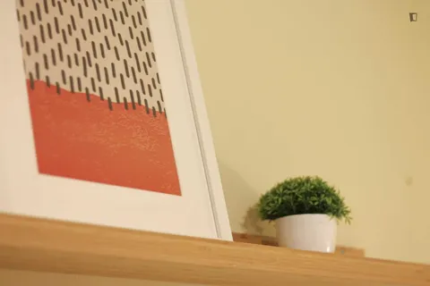 Habitació de lloguer, Barcelona