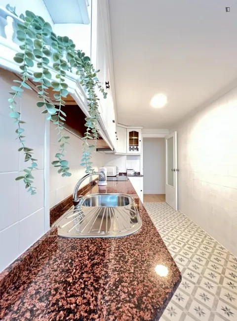 Habitació de lloguer, Alacant (4/11)