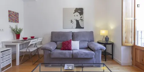 Pis de 37 m² a Madrid