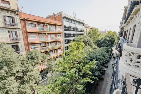 Habitació de lloguer, Barcelona (4/18)