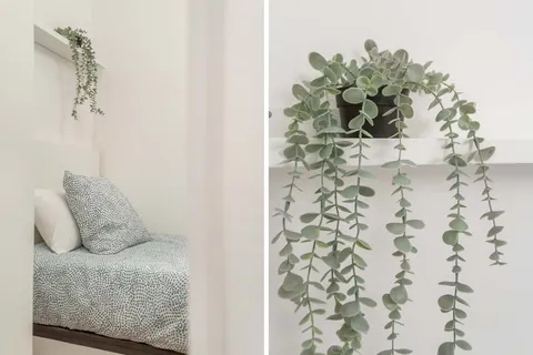 Chambre à louer, Barcelone
