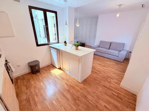 Pis de 25 m² a Madrid