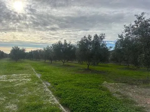 Casa de 80 m² a Cártama