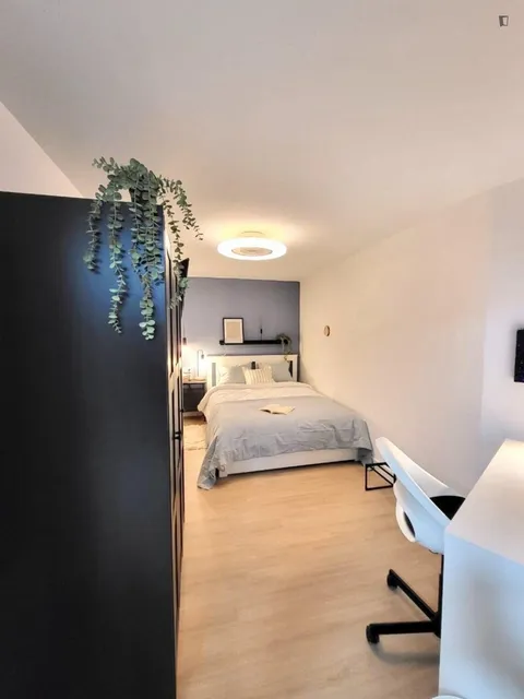 Habitació de lloguer, Alacant