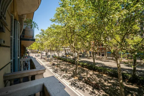 Stanza in affitto, Barcelona