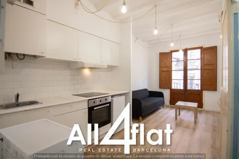 Pis de 29 m² a Barcelona