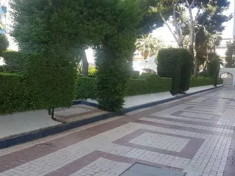 Stanza in affitto, Málaga