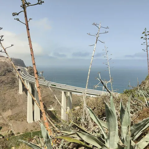 Casa 274 m² a Santa María de Guía de Gran Canaria