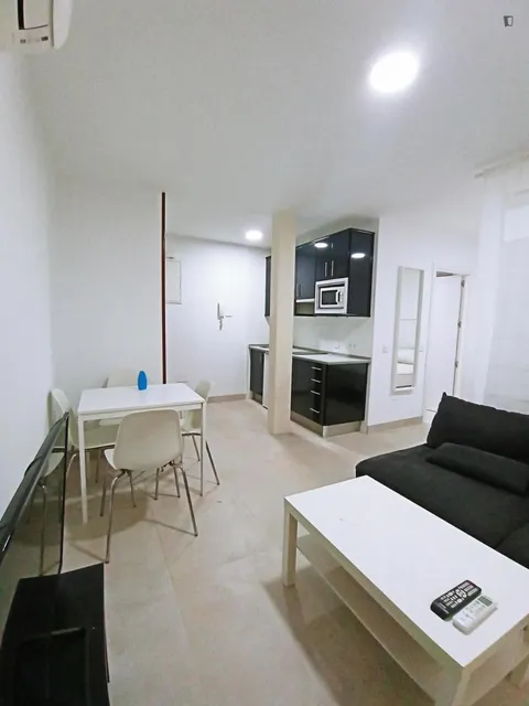 Pis de 33 m² a Madrid